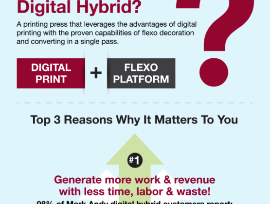 Meaning of Hybrid Infographic